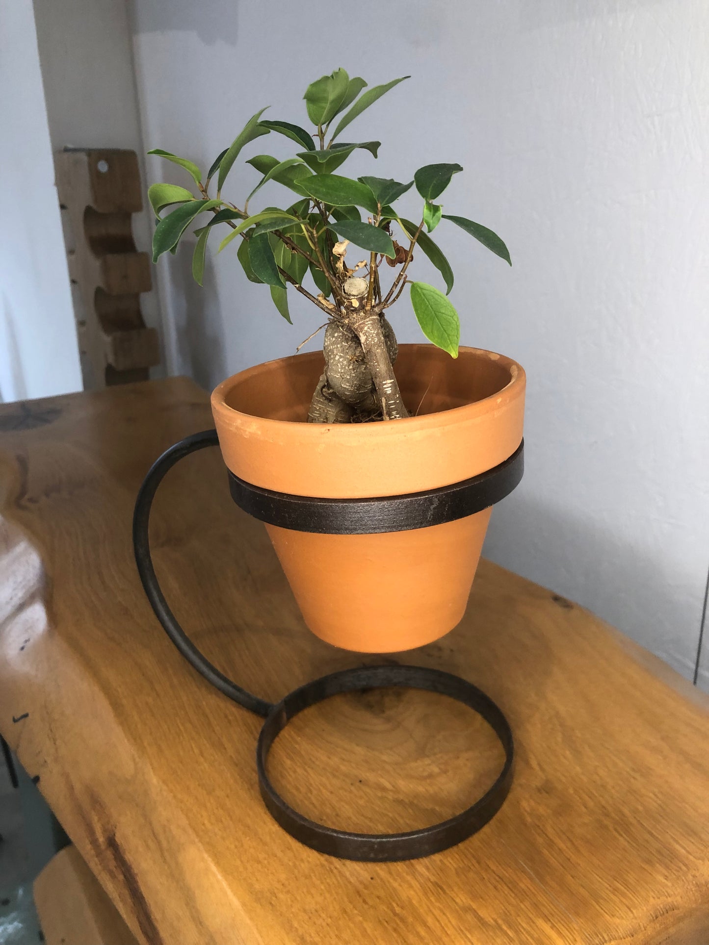 Handmade Hoop Plant Pot Holder