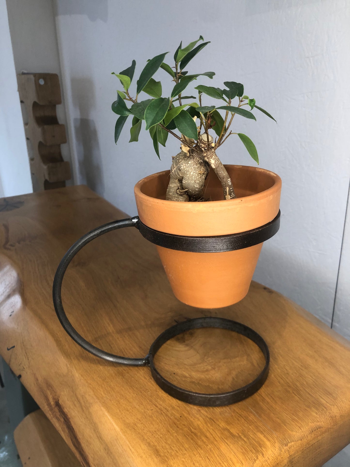 Handmade Hoop Plant Pot Holder