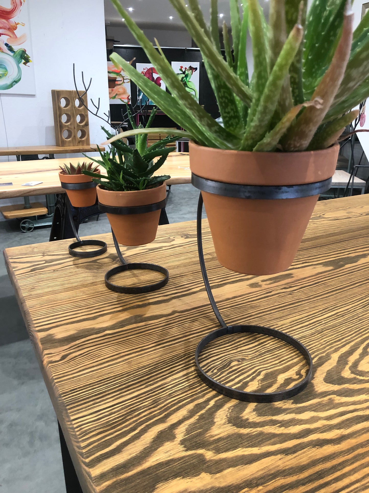 Handmade Hoop Plant Pot Holder