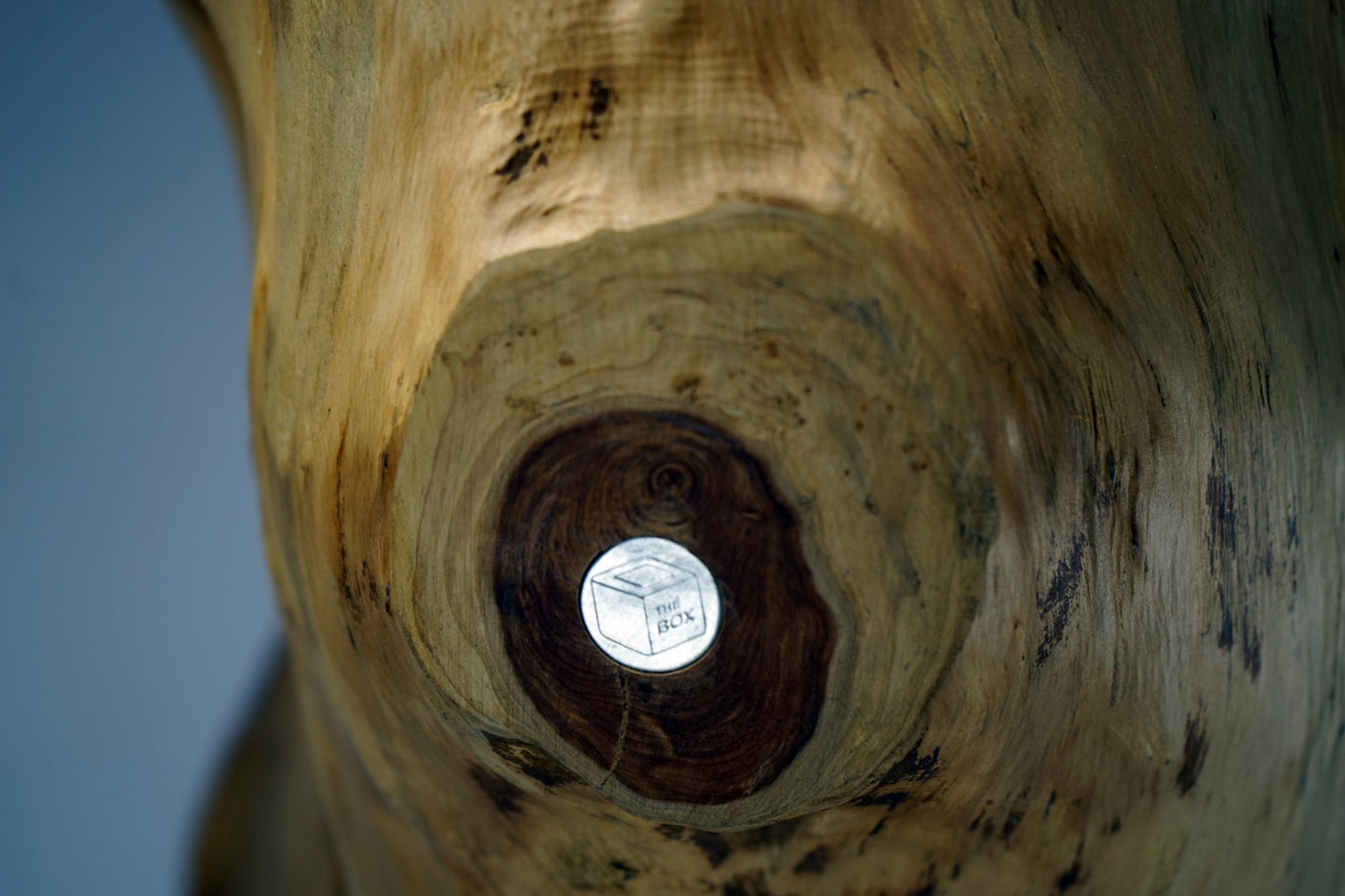 Rustic Split Tree Trunk Wine Rack