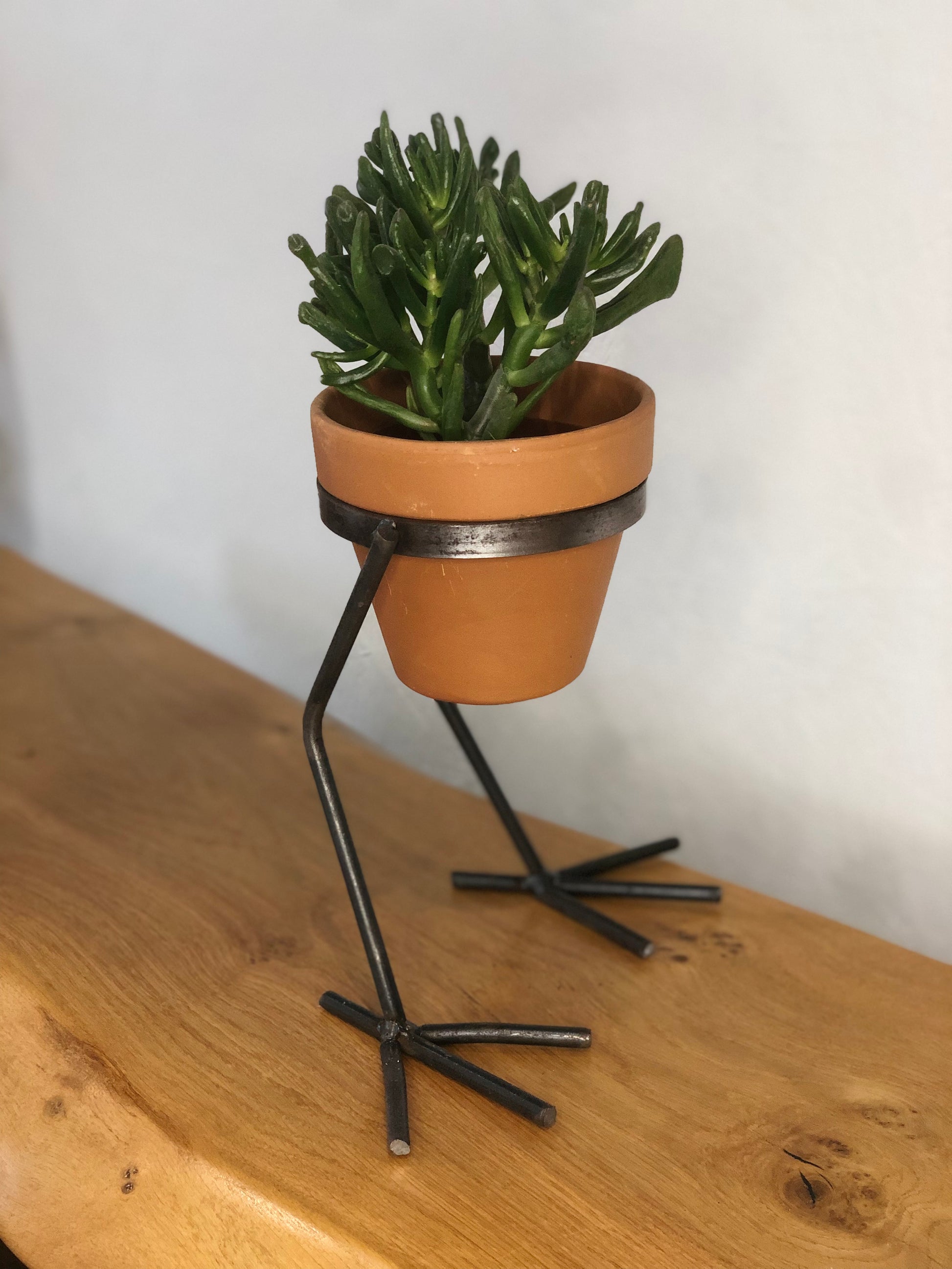 handmade Large chicken feet plant pot holder