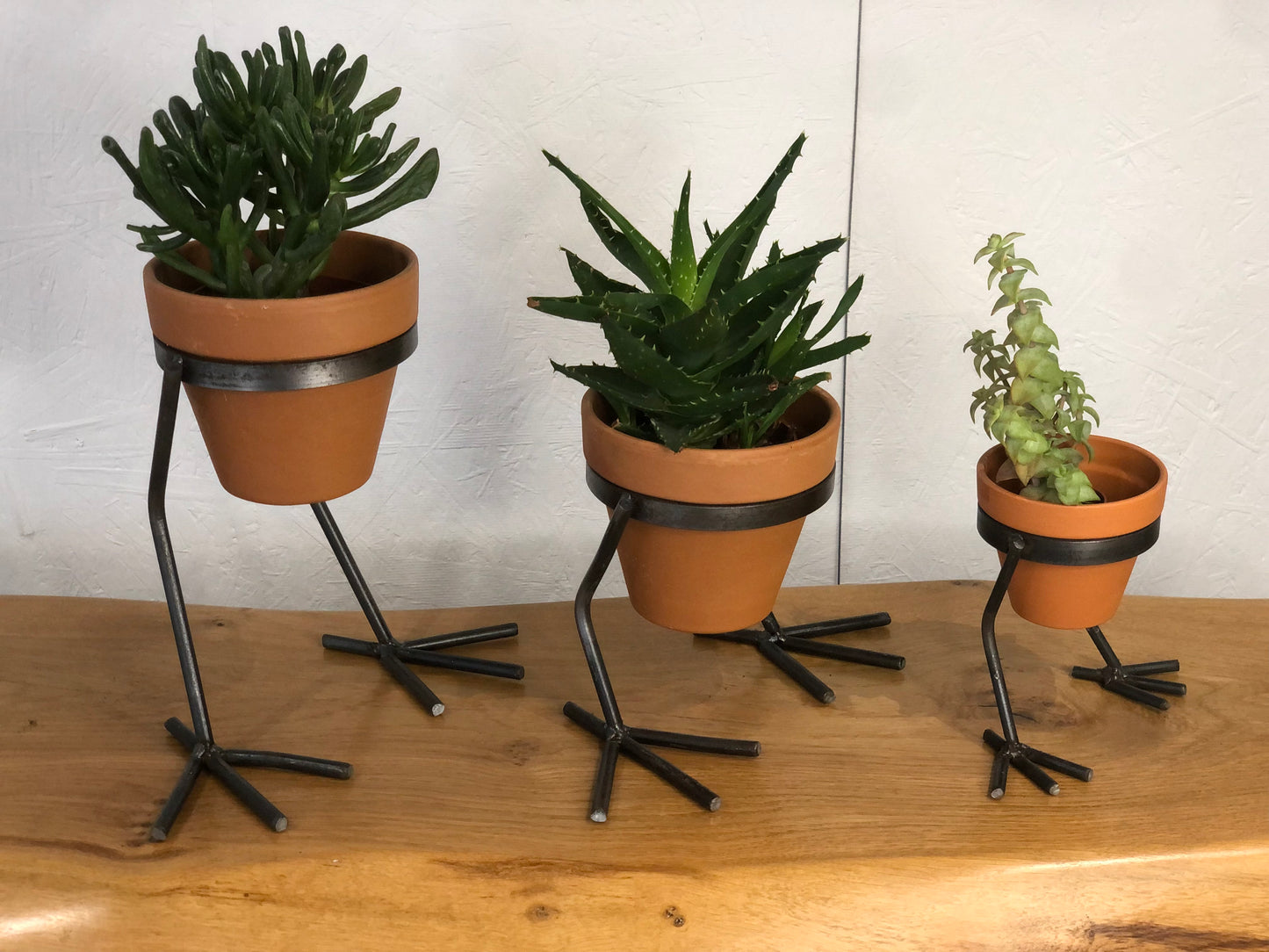 handmade large, medium and small chicken feet plant pot holders