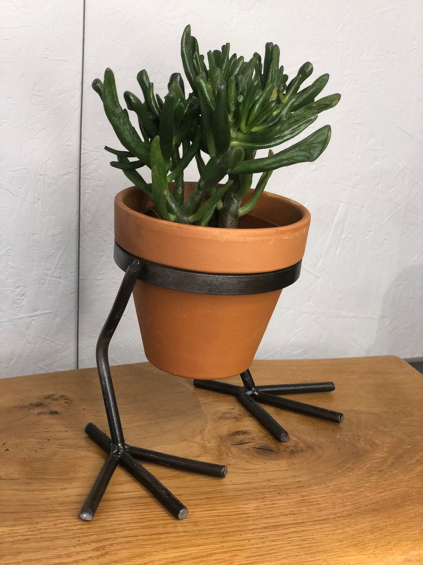 handmade medium chicken feet plant pot holder