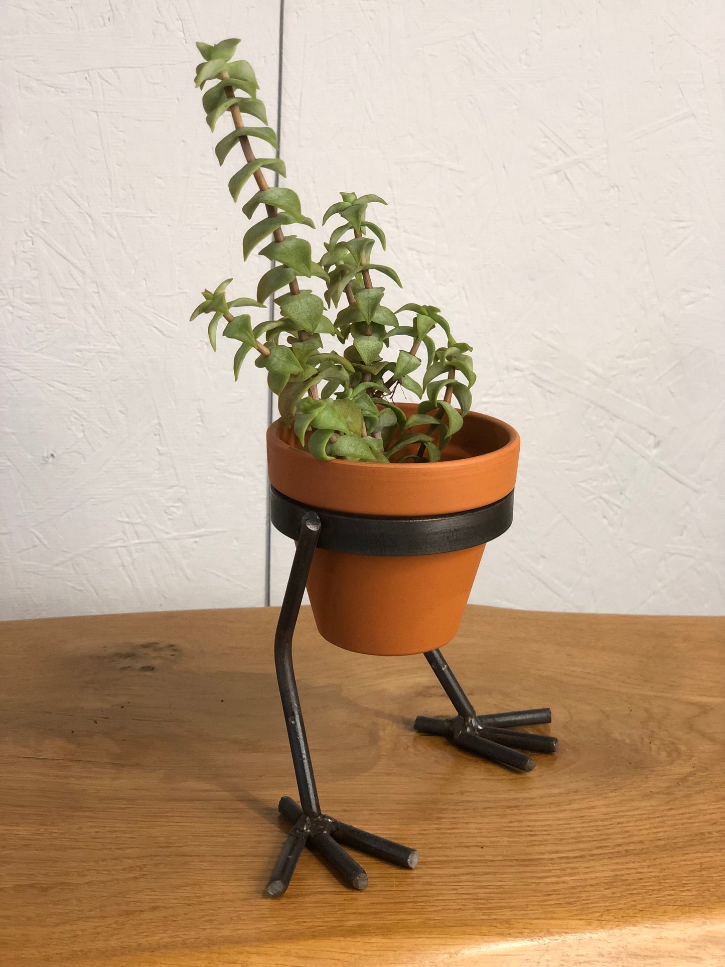 handmade small chicken feet plant pot holder