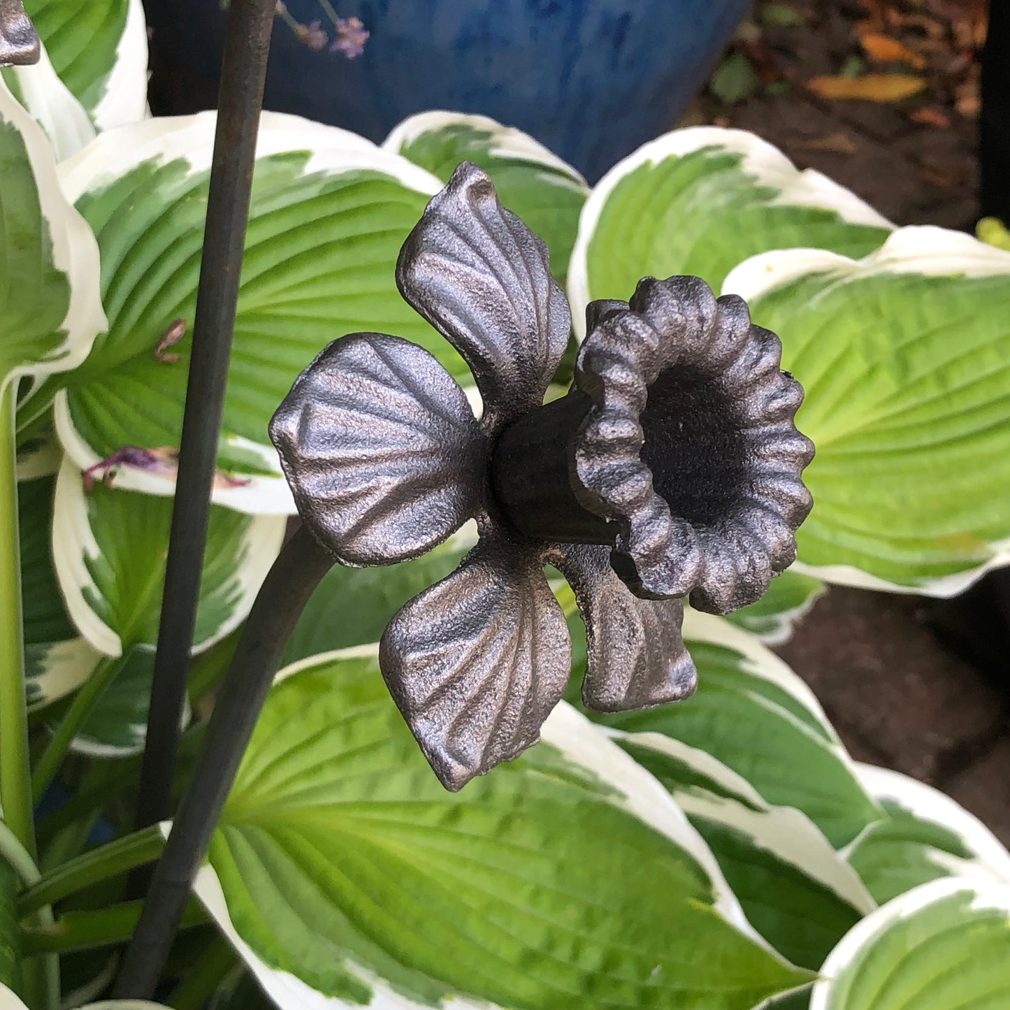 ornamental metal daffodil