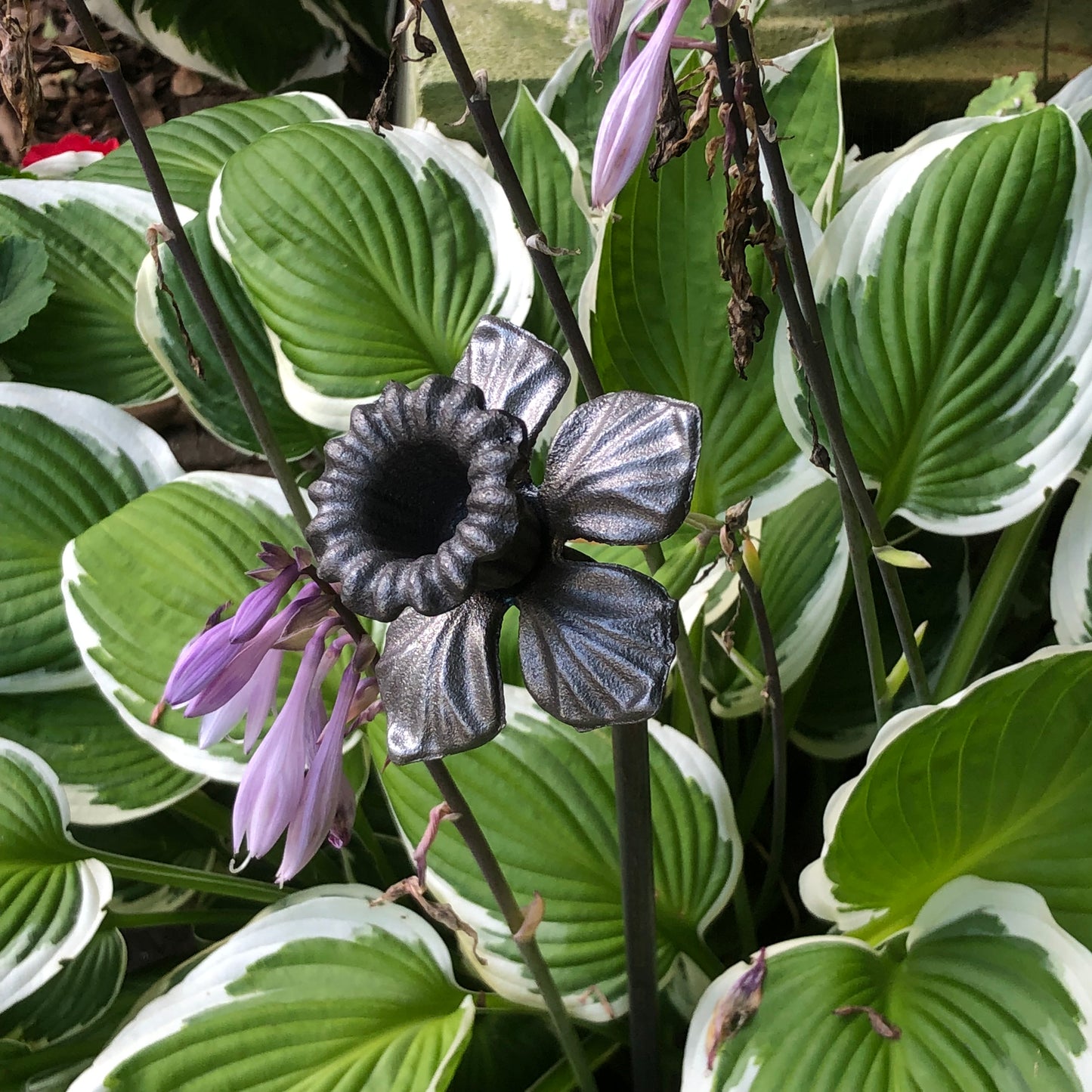 ornamental metal daffodil side view