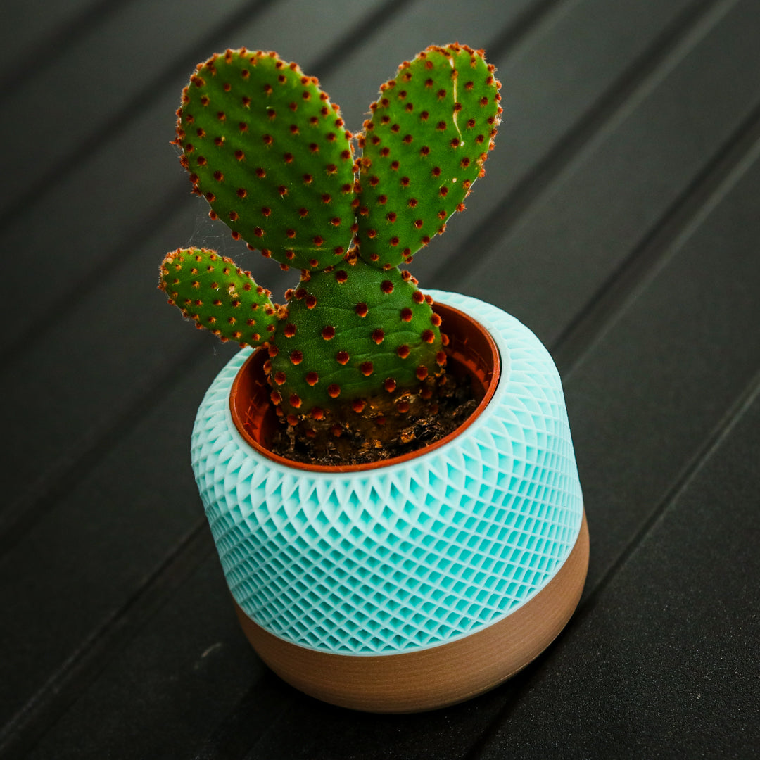 Small 3D Printed Plant Pot