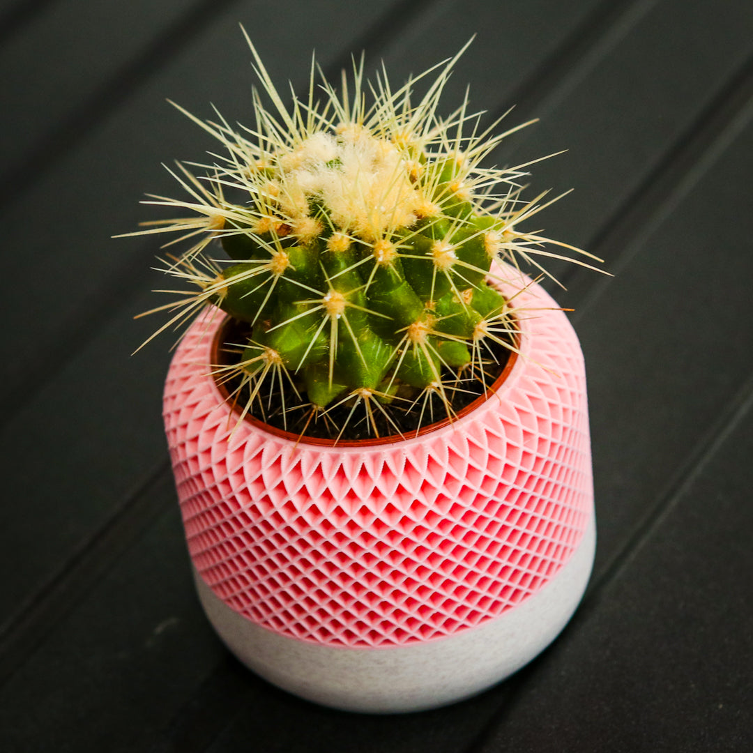 Small 3D Printed Plant Pot