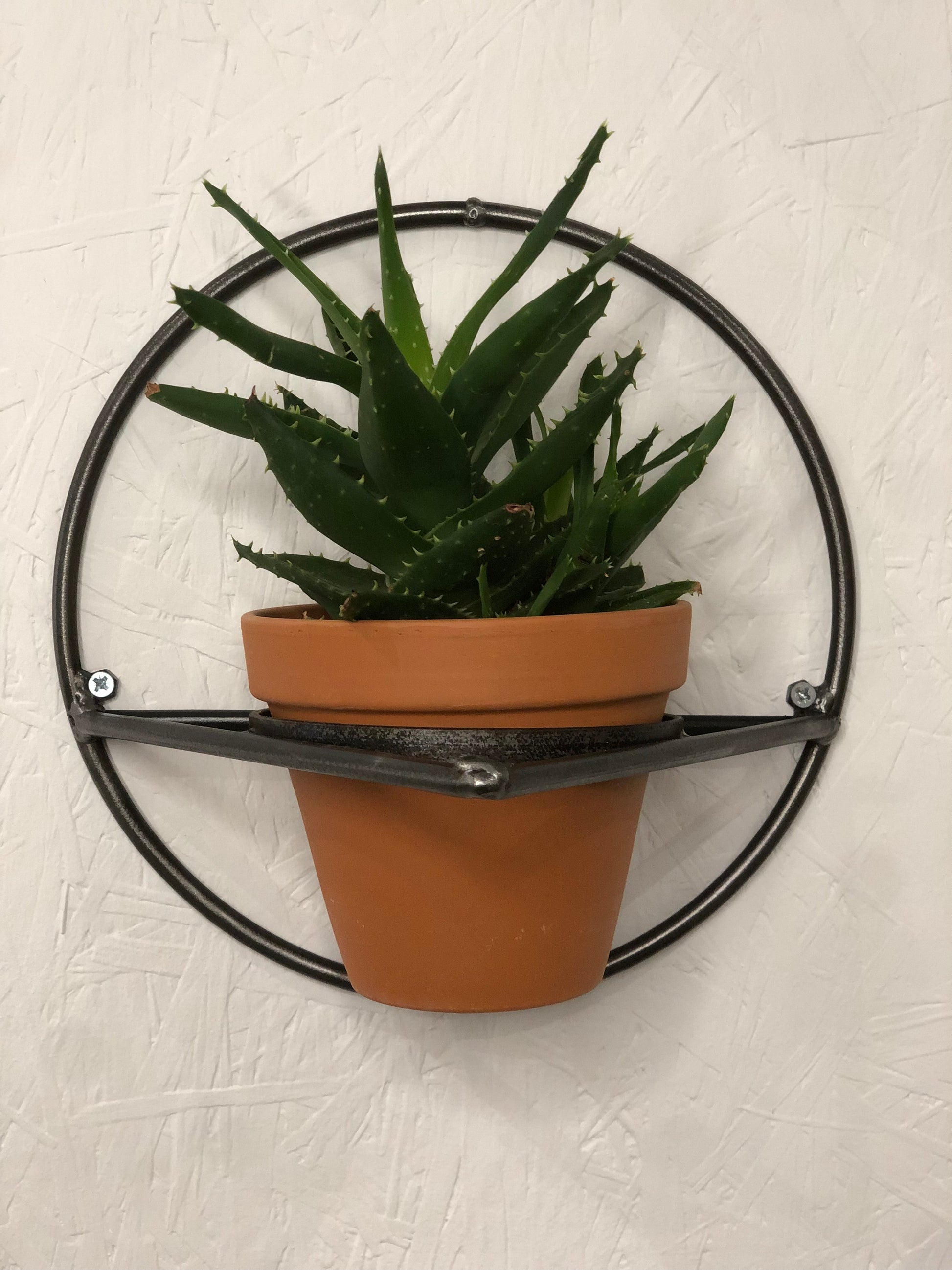 round wall plant pot holder front
